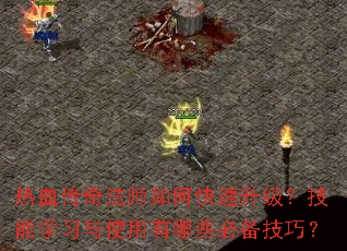 Ѫ淨ʦοѧϰʹЩرɣ