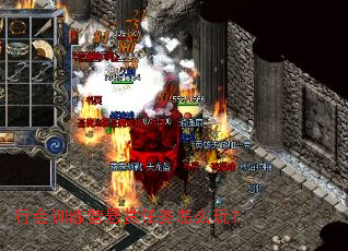 行会训练营悬赏任务怎么玩? 行会训练营悬赏任务怎么玩?