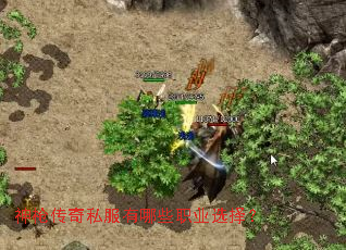 神枪传奇私服有哪些职业选择? 神枪传奇私服有哪些职业选择?