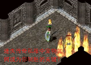 迷失传奇私服中宠物如何成为你制胜的关键? 迷失传奇私服中宠物如何成为你制胜的关键?