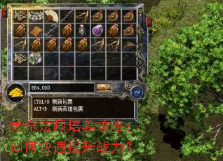 传奇法师培养攻略:如何快速提升战力? 传奇法师培养攻略:如何快速提升战力?