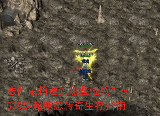 法师最怕遇到哪些怪物?65535级超变态传奇生存指南 法师最怕遇到哪些怪物?65535级超变态传奇生存指南