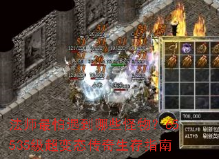 法师最怕遇到哪些怪物?65535级超变态传奇生存指南 法师最怕遇到哪些怪物?65535级超变态传奇生存指南