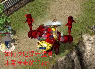 如何快速提升盟重冰雪传奇的等级? 如何快速提升盟重冰雪传奇的等级?