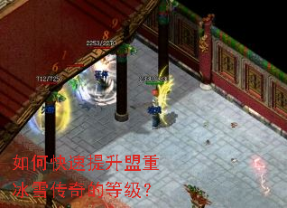 如何快速提升盟重冰雪传奇的等级? 如何快速提升盟重冰雪传奇的等级?