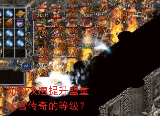 如何快速提升盟重冰雪传奇的等级? 如何快速提升盟重冰雪传奇的等级?