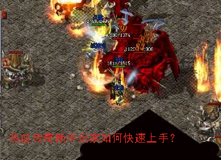 ��Ѫ�������������ο������֣�