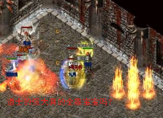 道士的强大真的全靠宝宝吗? 道士的强大真的全靠宝宝吗?