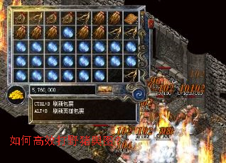 如何高效打野猪舆图? 如何高效打野猪舆图?