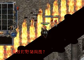 如何高效打野猪舆图? 如何高效打野猪舆图?