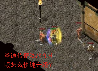 ʥ������˽����������ô����������