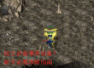 սʿ�ر���Щװ�������ֱؿ�����ָ��