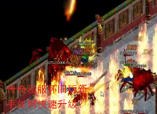 ����˽�����ɰ�������ο���������