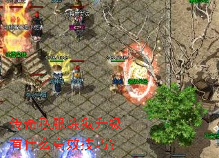 ����˽������������ʲô��Ч���ɣ�