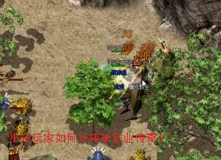 С����������ת��ְҵ���棿