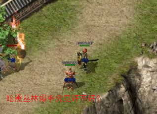 ���ڴ��ֱ��ʾ����ò��ã�