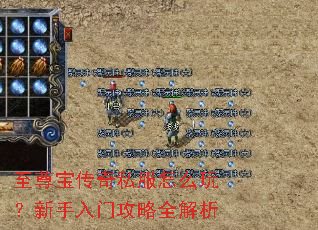 ���𱦴���˽����ô�棿�������Ź���ȫ����