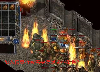 ���뾫Ӣ�л���Ҫ������Щ������