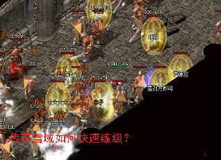 ����ѩ����ο���������