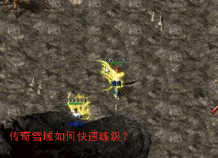 ����ѩ����ο���������