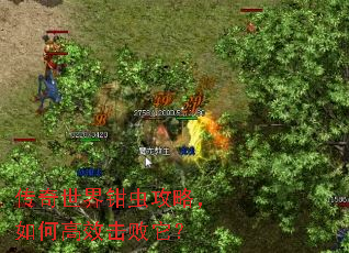 传奇世界钳虫攻略,如何高效击败它? 传奇世界钳虫攻略,如何高效击败它?