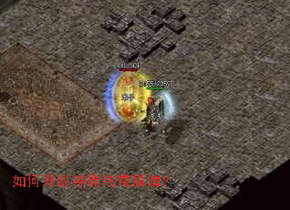 �����������������ƣ�