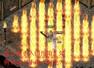 ��ʿ��������ָ�ϣ���ο������ֵ�ʿְҵ��