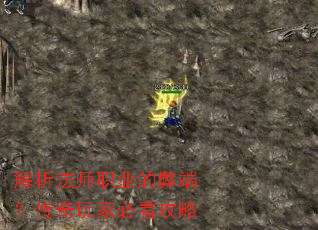 ������ʦְҵ�ı׶ˣ�������ұؿ�����