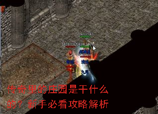 �������ׯ԰�Ǹ�ʲô�ģ����ֱؿ����Խ���