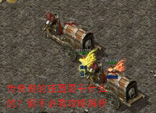 �������ׯ԰�Ǹ�ʲô�ģ����ֱؿ����Խ���