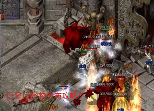 �����Ź���ֲ����ԣ�