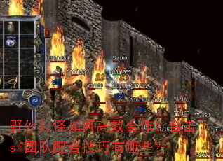 Ұ������θ�Ч�������ϻ�sf�Ŷ���ϼ�������Щ��