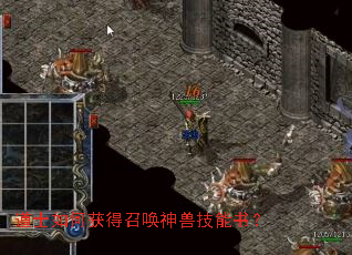 ��ʿ��λ���ٻ����޼����飿