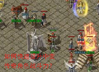 ��ο��������б䴫���ɫս������