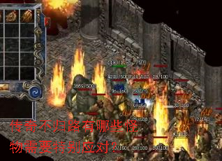 ���治��·����Щ������Ҫ�ر�Ӧ�ԣ�