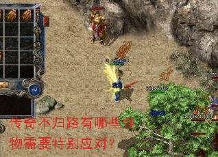 ���治��·����Щ������Ҫ�ر�Ӧ�ԣ�