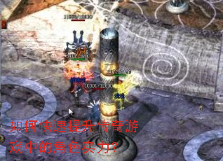 ��ο�������������Ϸ�еĽ�ɫʵ����