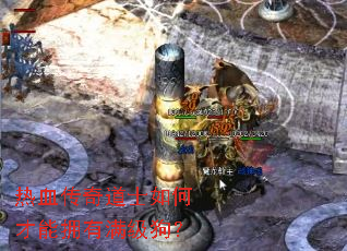 ��Ѫ�����ʿ��β���ӵ����������