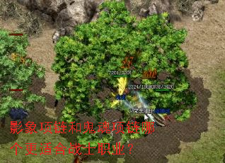 Ӱ�������͹��������ĸ����ʺ�սʿְҵ��