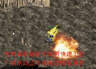 ���浥����������ο������֣�����ָ�����ѷ�����ȫ����