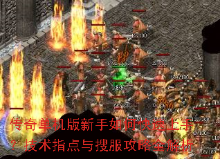 ���浥����������ο������֣�����ָ�����ѷ�����ȫ����