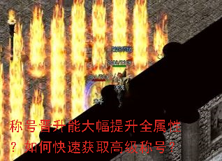 �ƺŽ����ܴ������ȫ���ԣ���ο��ٻ�ȡ�߼��ƺţ�