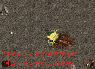 ʱ�⵹�������źϻ�������γ�Ϊʢ������ҵ���ѡ��