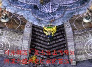 ʱ�⵹�������źϻ�������γ�Ϊʢ������ҵ���ѡ��