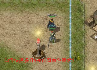 如何快速提升9PK传奇角色等级? 如何快速提升9PK传奇角色等级?