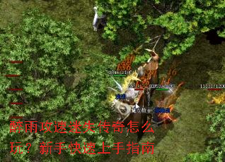 ���깥����ʧ������ô�棿���ֿ�������ָ��