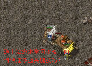 道士治愈术学习攻略:如何快速掌握关键技巧? 道士治愈术学习攻略:如何快速掌握关键技巧?