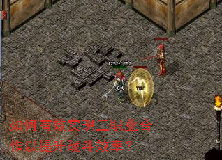 如何有效实现三职业合作以提升战斗效率? 如何有效实现三职业合作以提升战斗效率?