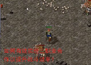 如何有效实现三职业合作以提升战斗效率? 如何有效实现三职业合作以提升战斗效率?