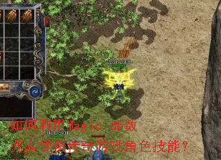 如何利用Magic.db数据库优化传奇游戏角色技能? 如何利用Magic.db数据库优化传奇游戏角色技能?